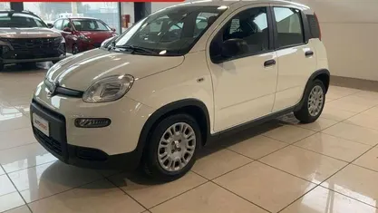 Usata Fiat Panda S 71 CV (52 kW) 2024 Bianco Utilitaria