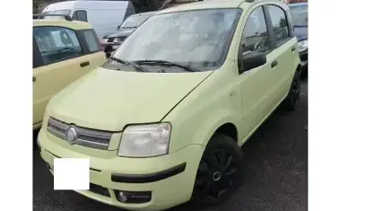 Usata Fiat Panda Dynamic 60 CV (44 kW) 2004 Verde Utilitaria