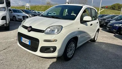 Usata Fiat Panda Easy 69 CV (50 kW) 2015 Bianco Utilitaria