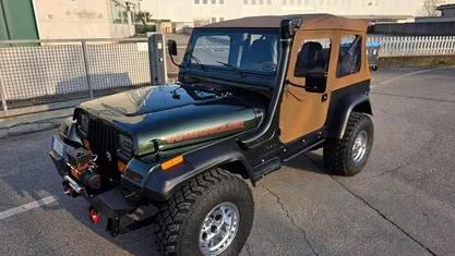 Usata Jeep Wrangler 244 CV (179 kW) 1995 SUV