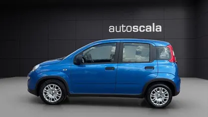 Usata Fiat Panda S 69 CV (50 kW) 2024 Utilitaria
