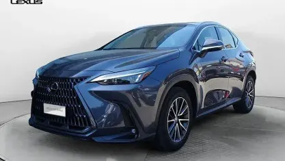 Usata Lexus NX350h Business Edition 243 CV (178 kW) 2023 Grigio SUV