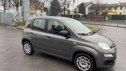 Usata Fiat Panda Easy 69 CV (50 kW) 2020 Grigio Utilitaria
