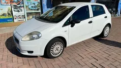 Bianco Usata 2014 Fiat Punto Street Due volumi | 6500 € (Cara)