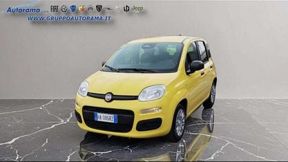 Usata Fiat Panda Icon 70 CV (51 kW) 2025 Giallo Utilitaria
