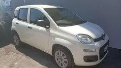 Usata 2020 Fiat Panda Pop Furgone | 5900 € (Super prezzo)