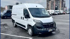 Bianco Nuova 2024 Opel Movano Edition Furgone | 24.450 € (Ottimo prezzo)