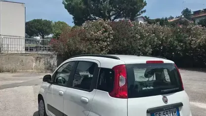 Usata Fiat Panda 75 CV (55 kW) 2013 Beige Utilitaria