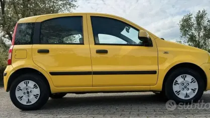 Usata Fiat Panda Dynamic 60 CV (44 kW) 2010 Giallo Utilitaria