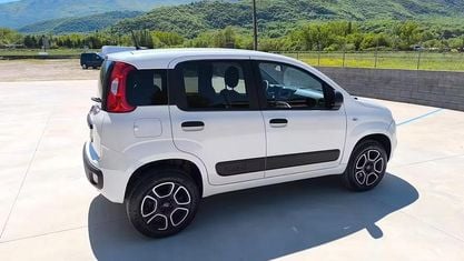 Usata Fiat Panda 4x4 85 CV (62 kW) 2021 Bianco Utilitaria