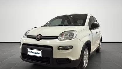 Usata Fiat Panda Icon 70 CV (51 kW) 2024 Bianco Utilitaria