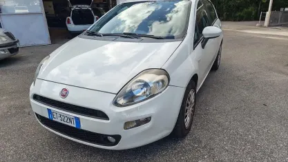 Usata Fiat Punto Lounge 75 CV (55 kW) 2014 Bianco Utilitaria