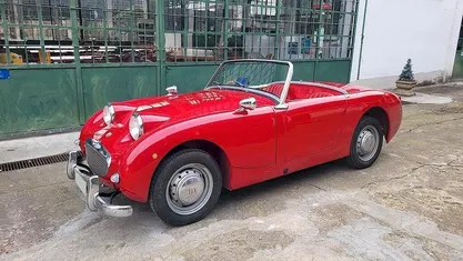 Usata Austin Healey Frogeye 48 CV (35 kW) 1960 Cabrio