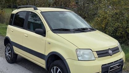 Usata Fiat Panda 4x4 Climbing 74 CV (54 kW) 2008 Giallo Utilitaria
