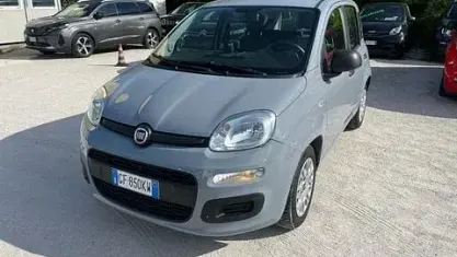 Usata Fiat Panda Easy 69 CV (50 kW) 2021 Argento Utilitaria