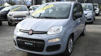 Usata Fiat Panda Easy 69 CV (50 kW) 2022 Grigio Utilitaria