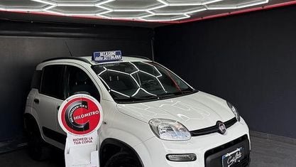 Usata Fiat Panda 4x4 S 84 CV (61 kW) 2019 Bianco Utilitaria