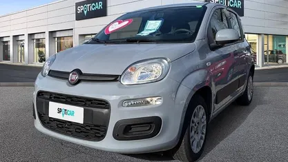 Usata Fiat Panda Easy 69 CV (50 kW) 2018 Grigio Utilitaria