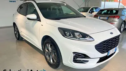 Frozen white Usata 2021 Ford Kuga ST-Line SUV | 20.790 € (Buon prezzo)