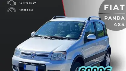 Usata Fiat Panda 4x4 Climbing 75 CV (55 kW) 2011 Grigio Utilitaria