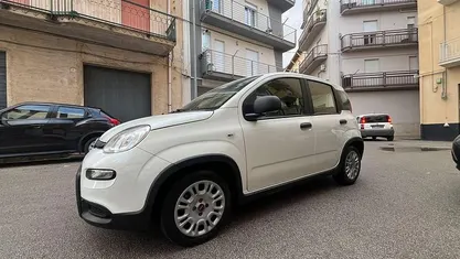 Usata Fiat Panda 69 CV (50 kW) 2023 Bianco Berlina