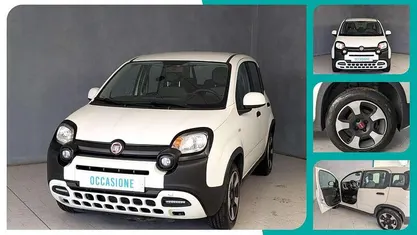 Usata Fiat Panda Cross Cross 70 CV (51 kW) 2023 Utilitaria