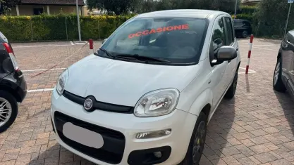 Usata Fiat Panda Young 80 CV (58 kW) 2014 Bianco Utilitaria