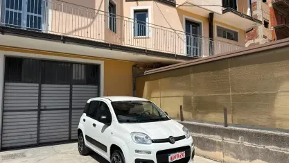 Usata Fiat Panda 4x4 85 CV (62 kW) 2021 Bianco Utilitaria