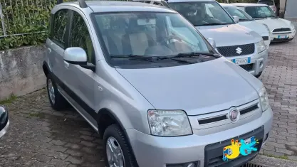 Usata Fiat Panda 4x4 Climbing 75 CV (55 kW) 2011 Argento Utilitaria