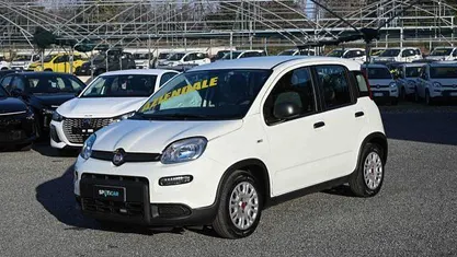 Usata Fiat Panda S 70 CV (51 kW) 2023 Bianco Utilitaria