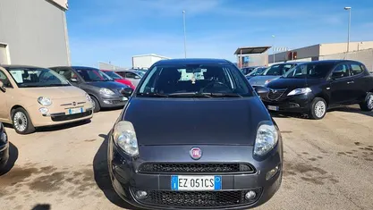 Usata Fiat Punto Street 77 CV (56 kW) 2015 Utilitaria