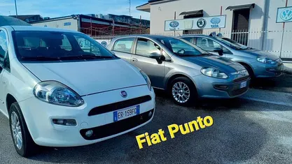 Usata Fiat Punto Evo 77 CV (56 kW) 2015 Grigio Utilitaria