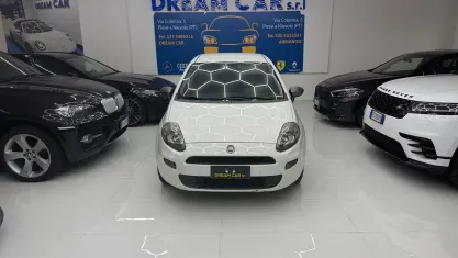 Usata Fiat Punto Lounge 69 CV (50 kW) 2014 Bianco Utilitaria