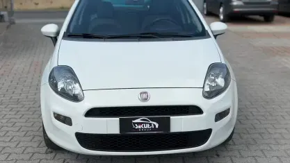 Usata Fiat Punto Evo Active 77 CV (56 kW) 2012 Bianco Utilitaria