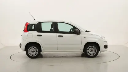 Usata Fiat Panda Easy 69 CV (50 kW) 2019 Biancobianco Utilitaria
