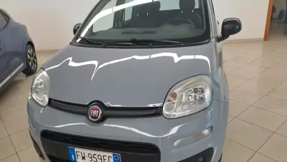 Usata Fiat Panda Easy 69 CV (50 kW) 2019 Grigio Utilitaria
