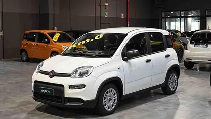 Usata Fiat Panda 70 CV (51 kW) 2023 Bianco Utilitaria