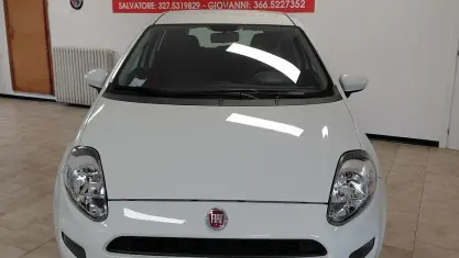 Usata Fiat Punto 69 CV (50 kW) 2014 Bianco Utilitaria