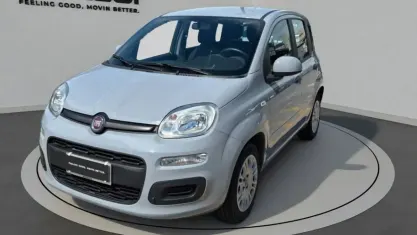 Usata Fiat Panda Easy 69 CV (50 kW) 2020 Grigio ceramica Utilitaria