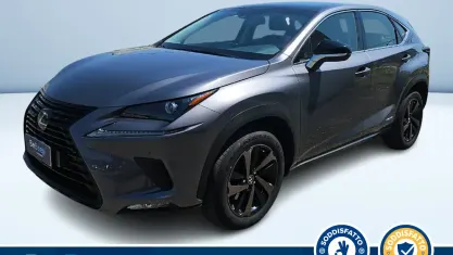Usata Lexus NX300h Sport Line 155 CV (114 kW) 2019 Grigio metallizzato SUV