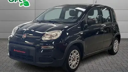 Usata Fiat Panda S 69 CV (50 kW) 2023 Nero Utilitaria