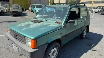 Usata Fiat Panda 4x4 Climbing 54 CV (39 kW) 2003 Verde Utilitaria