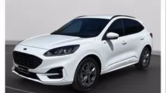 Bianco Usata 2024 Ford Kuga ST-Line SUV | 27.500 € (Buon prezzo)