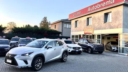 Grigio Usata 2018 Lexus NX300h Business Edition SUV | 20.999 € (Buon prezzo)