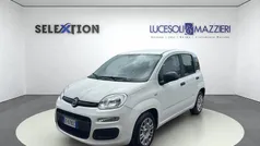 Bianco Usata 2021 Fiat Panda S Due volumi | 11.300 € (Cara)
