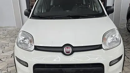 Usata Fiat Panda 4x4 S 69 CV (50 kW) 2019 Bianco Utilitaria