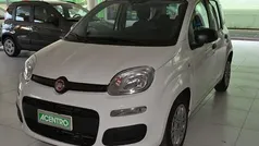 Bianco Usata 2021 Fiat Panda Due volumi | 10.500 € (Buon prezzo)