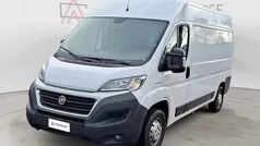 Bianco Usata 2019 Fiat Ducato 33 Furgone | 11.900 € (Super prezzo)