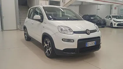 Usata Fiat Panda Sport 69 CV (50 kW) 2021 Utilitaria
