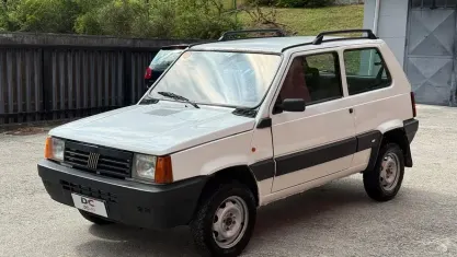 Usata Fiat Panda 4x4 Trekking 54 CV (39 kW) 2003 Bianco Utilitaria